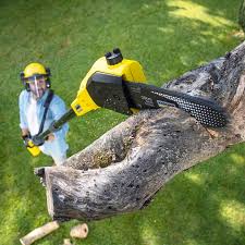 Best Sod Installation  in Gardena, CA